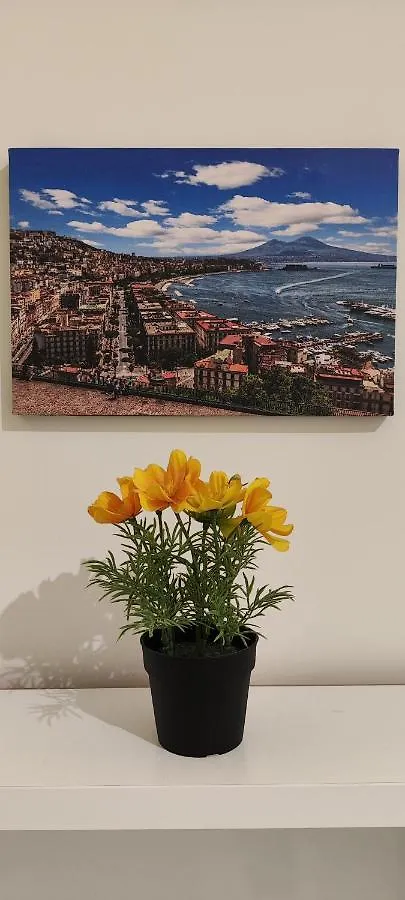 Home Sweet Home N.A. Naples Apartment